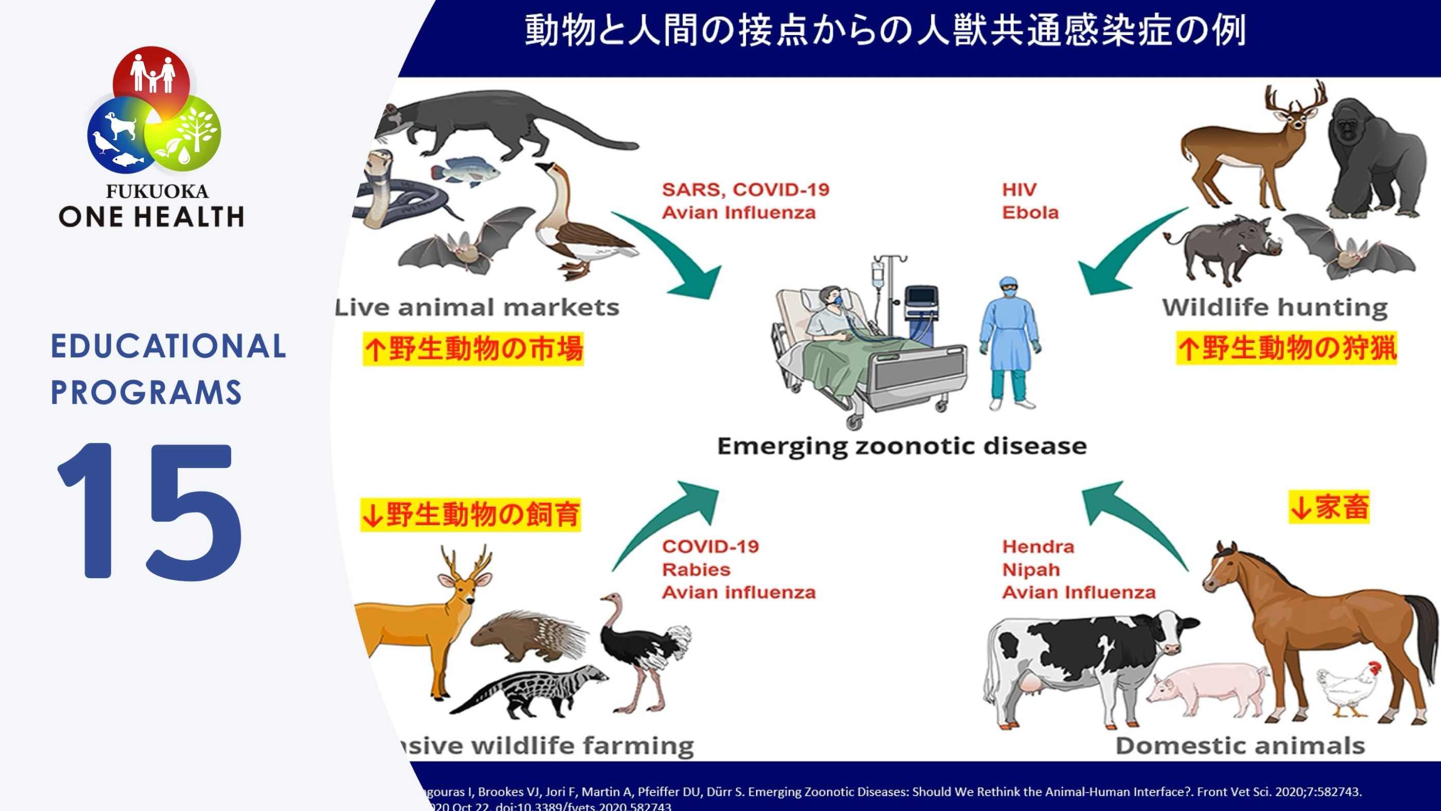 15-「グローバルヘルスと感染症」ーワンヘルスの視点からー | 福岡県の