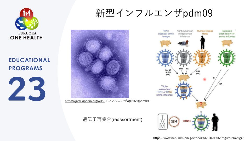 ワンヘルスからみた感染症