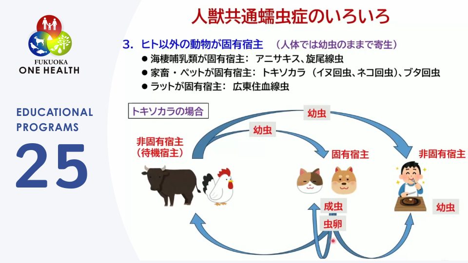 人獣共通寄生虫症（蠕虫症）
